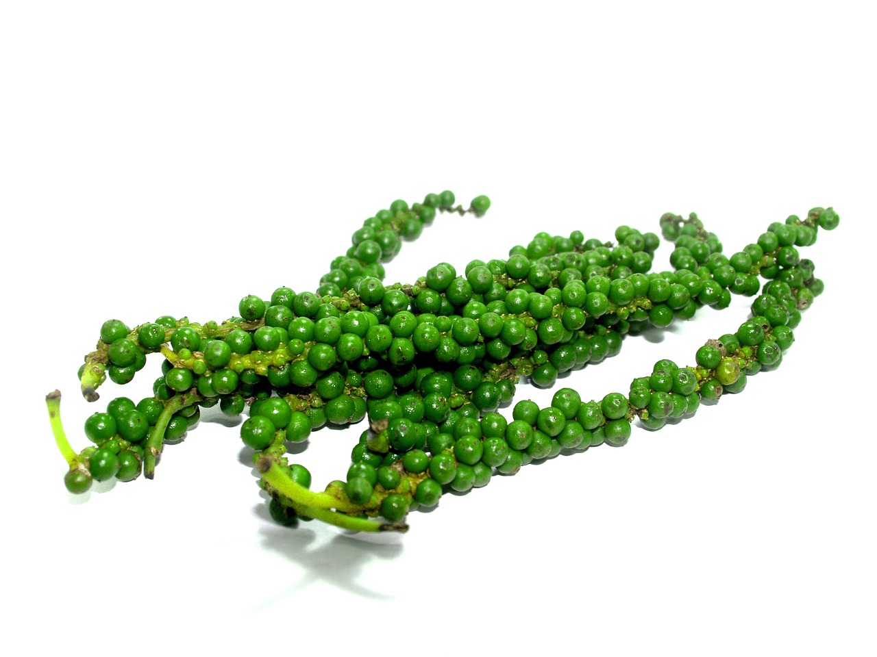 The Science of Antioxidants - Protecting Your Health